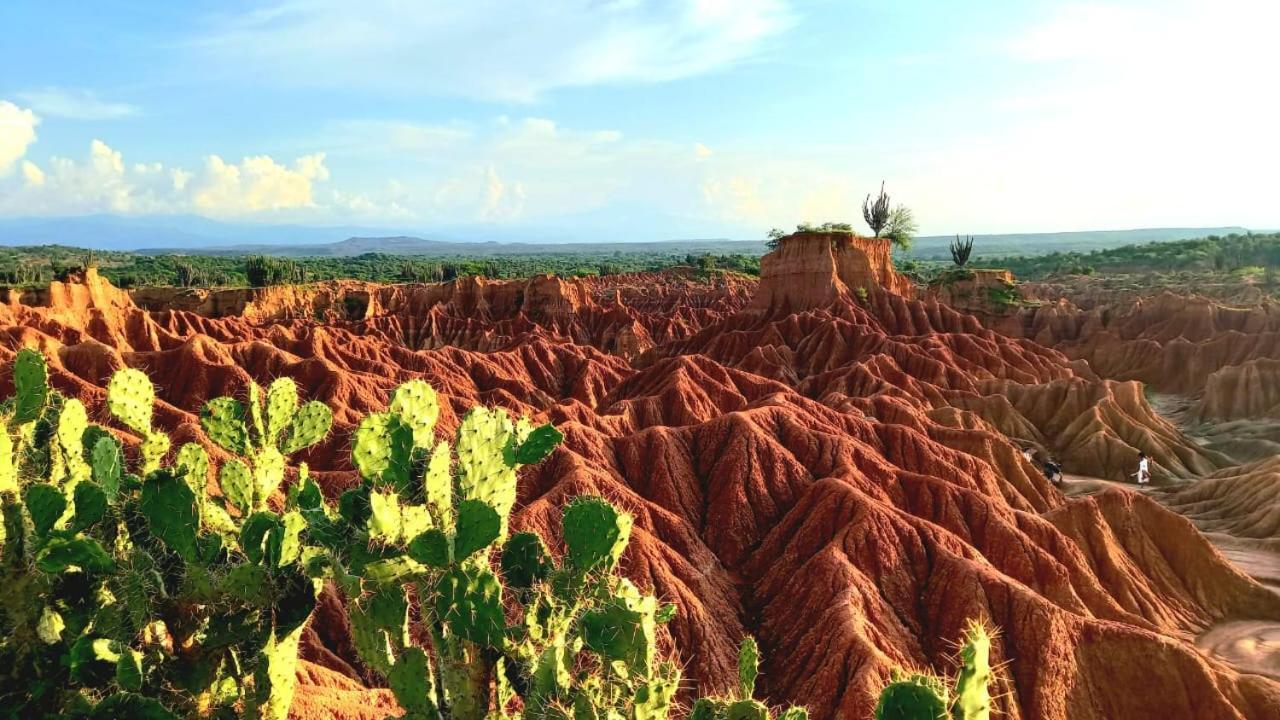 Avani Del Desierto ビジャビエハ エクステリア 写真