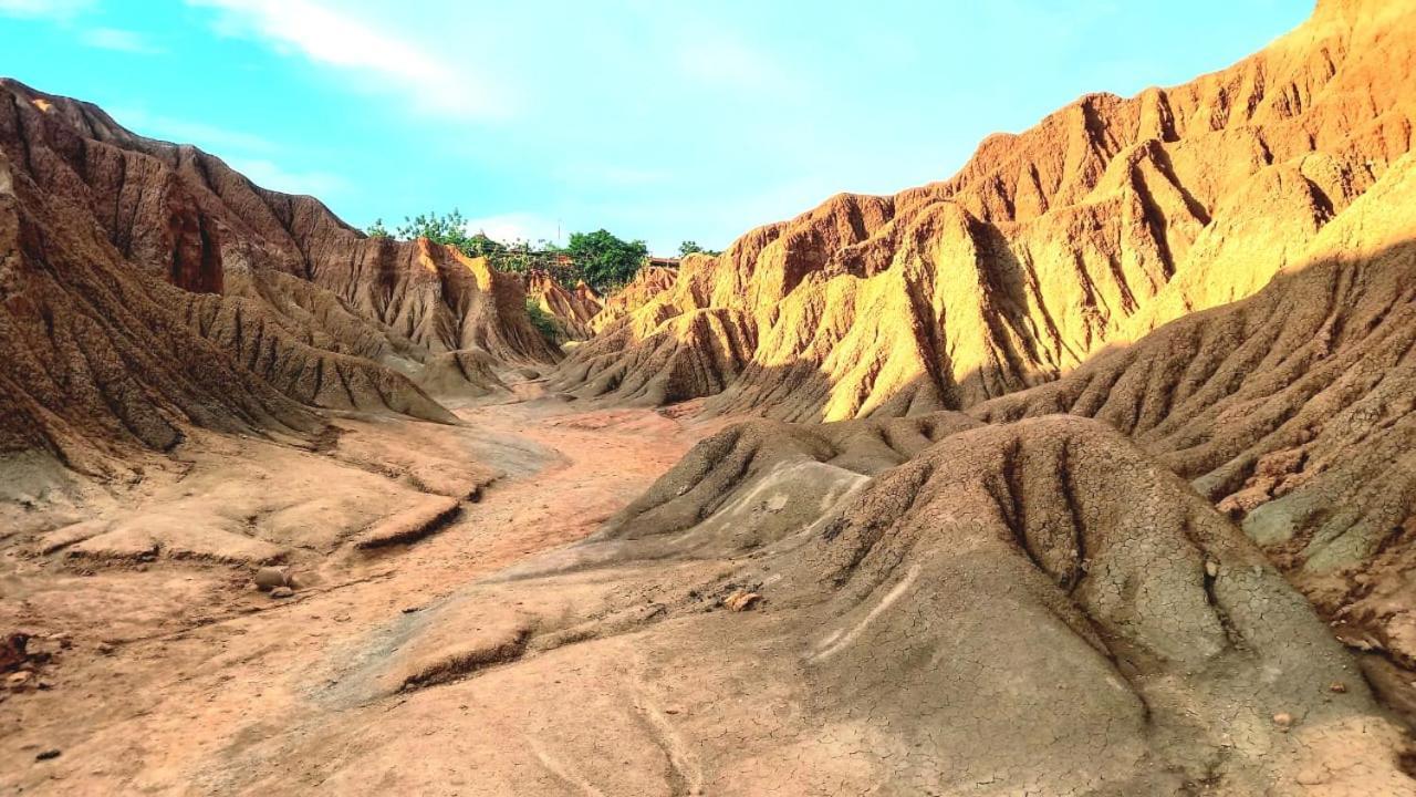 Avani Del Desierto ビジャビエハ エクステリア 写真